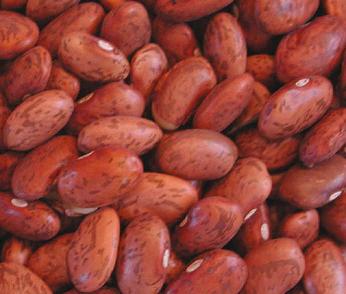 Organic to the Root Pinto Beans - 500g