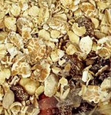 Organic to the Root Deluxe Muesli
