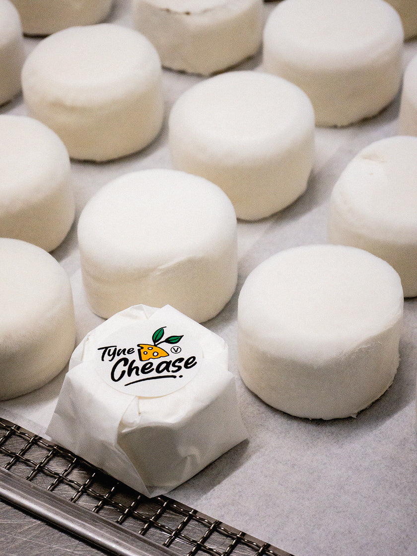 Tyne Chease Cashew Bert Camembert Alternative 70g