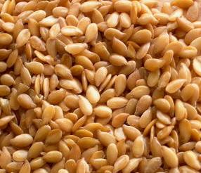 Organic to the Root Golden Linseed