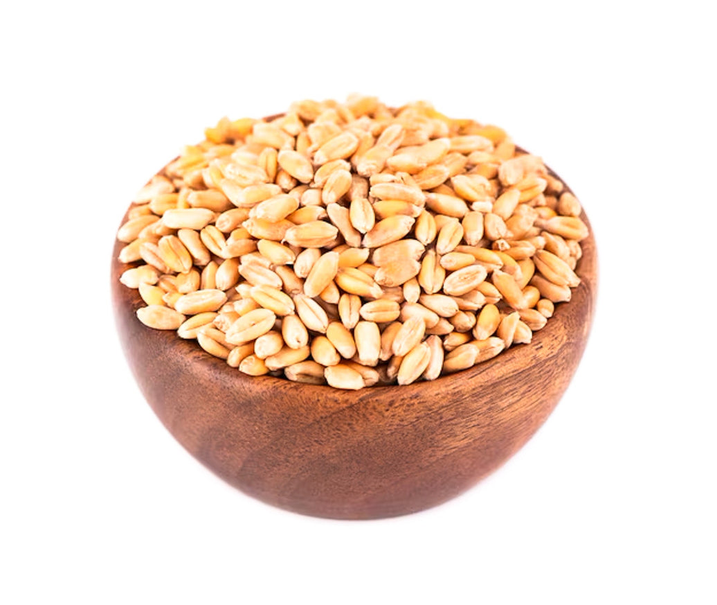 Organic to the Root Barley Grain - 500g