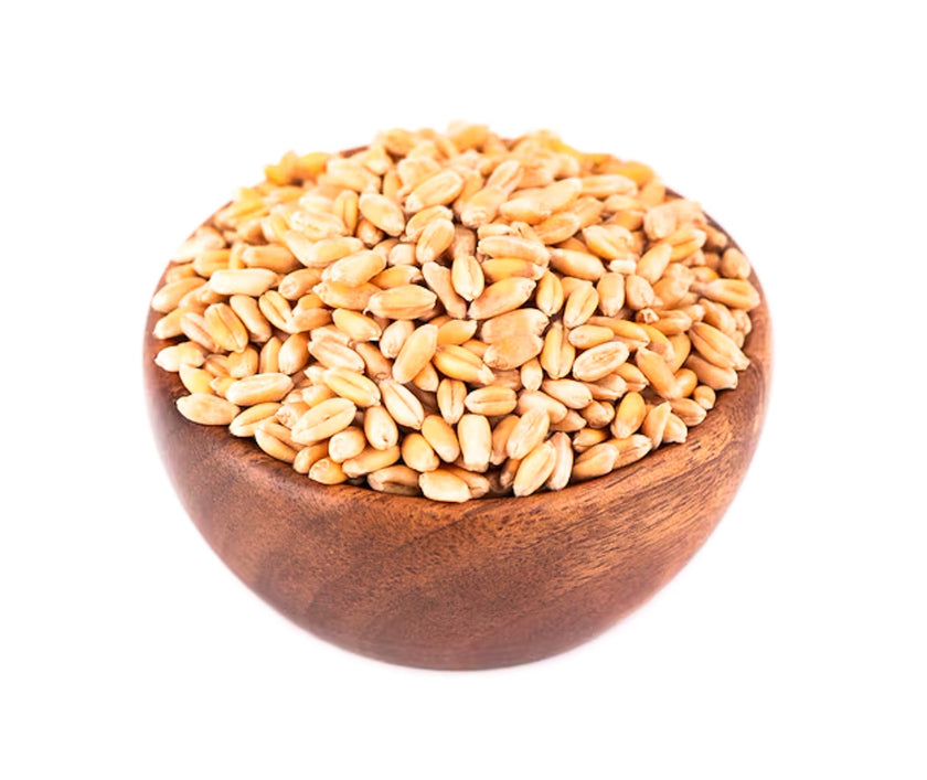 Organic to the Root Barley Grain - 500g