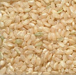 Organic to the Root Short Grain Brown Rice