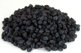 Organic to the Root Vostizza Currants