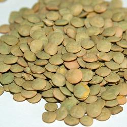 Organic to the Root Green Lentils