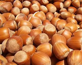 Organic to the Root Hazelnuts