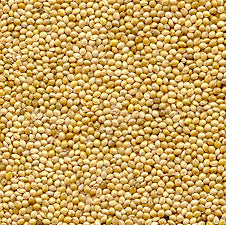 Organic to the Root Millet Grain