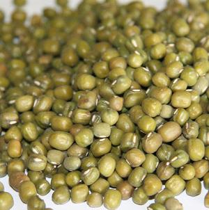 Organic to the Root Mung Beans - 500g
