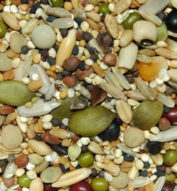 Organic to the Root Sprouting Mix - 250g