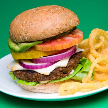 Original Vegan Burgamix Burger Mix 5kg Catering Pack